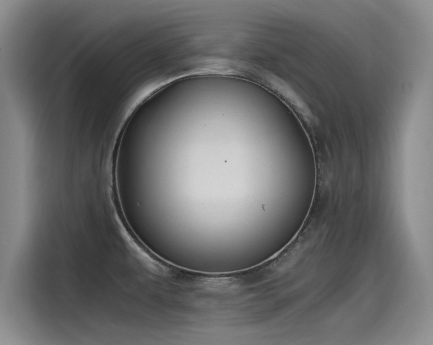 X0000115481479200911131205