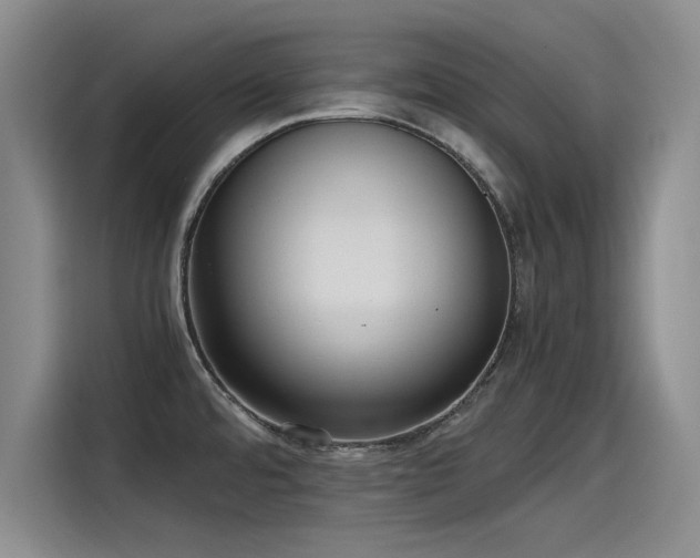 X0000115481480200911131205