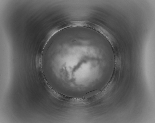 X0000115481481200911131205