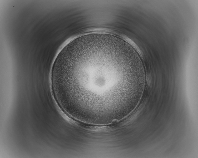 X0000115481482200911131205