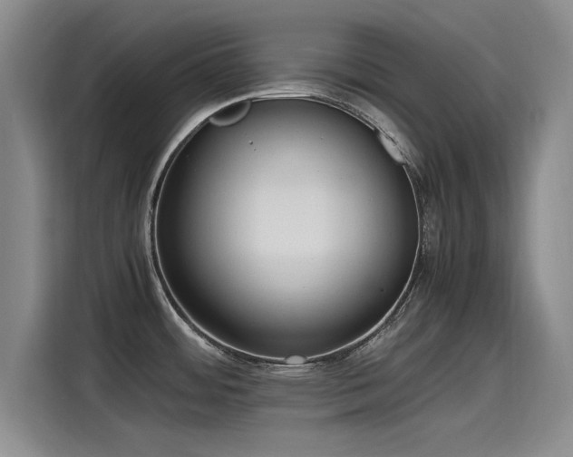 X0000115481484200911131205