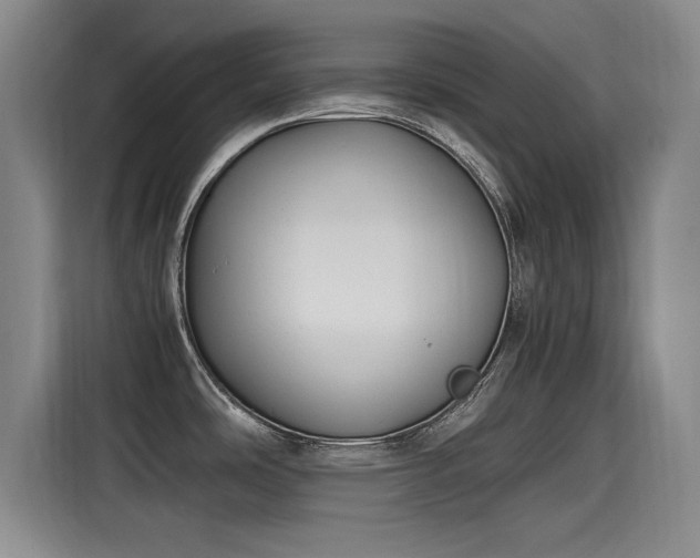 X0000115481486200911131205