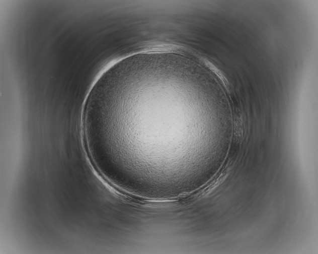 X0000115481487200911131205