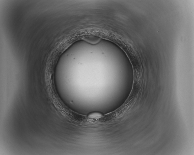 X0000115481489200911131204