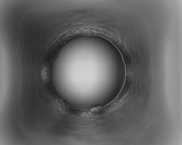 X0000115481490200911131204