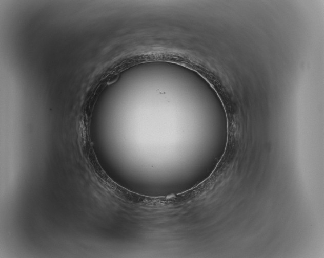 X0000115481493200911131204