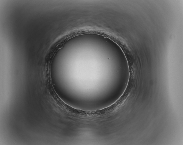 X0000115481494200911131204