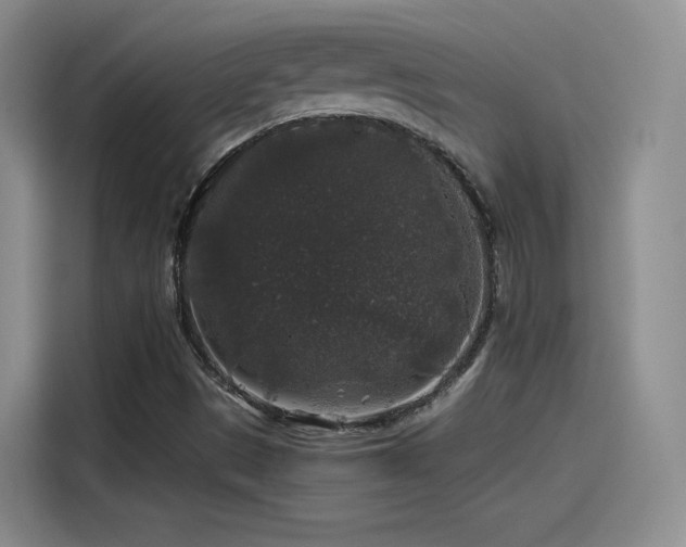 X0000115481497200911131204