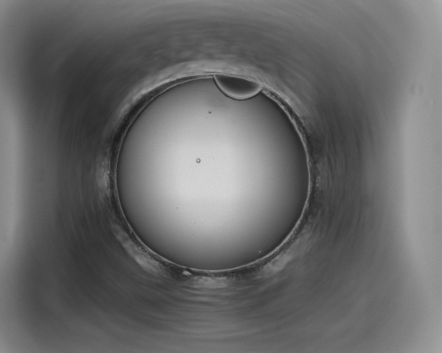 X0000115481499200911131204