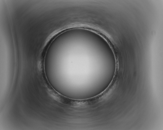 X0000115481501200911131204