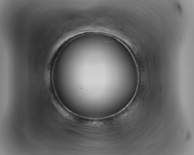 X0000115481503200911131204