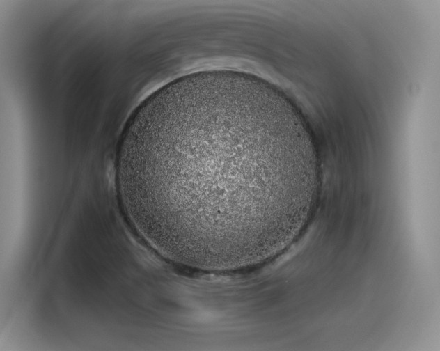 X0000115481505200911131204