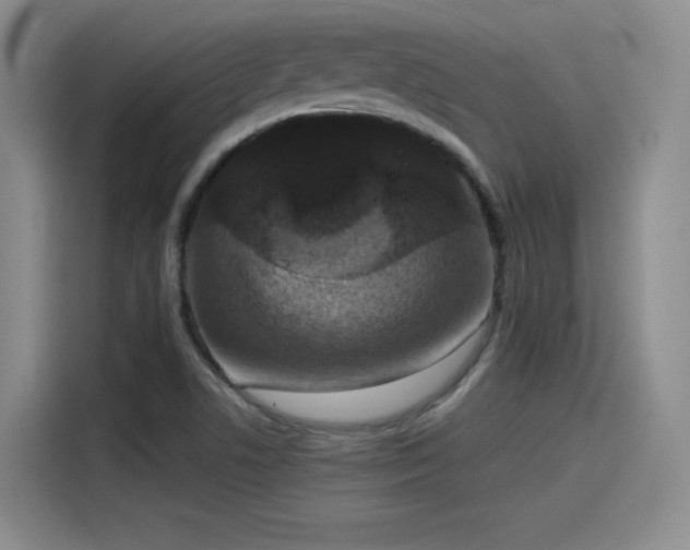 X0000115481506200911131204