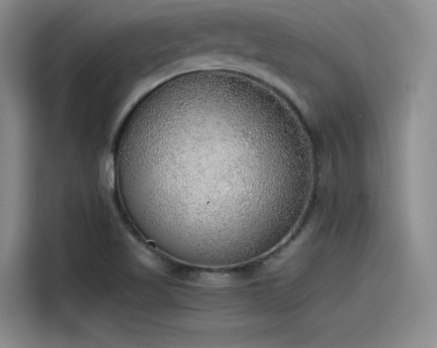 X0000115481509200911131204