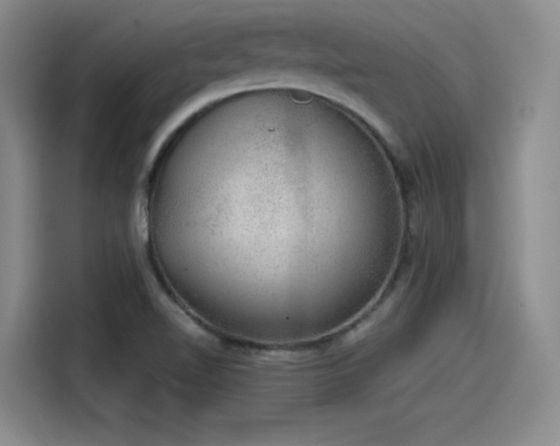 X0000115481510200911131204