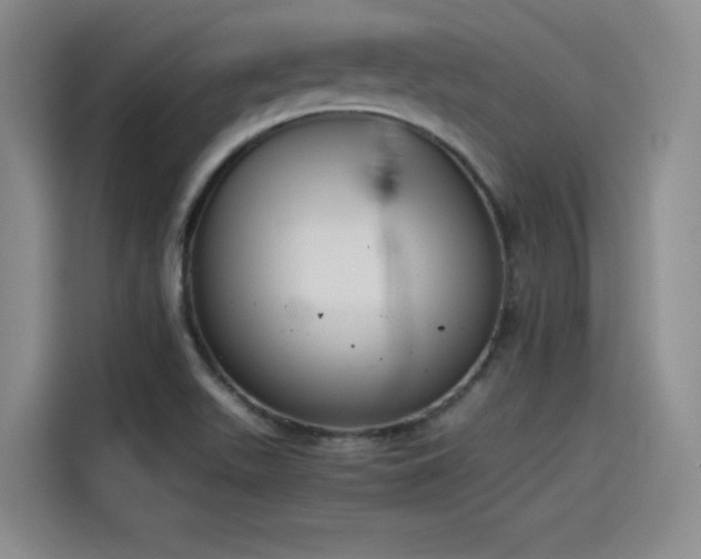 X0000115481511200911131205