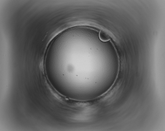 X0000115481513200911131205