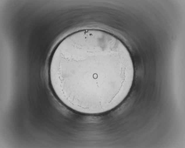 X0000115481514200911131205