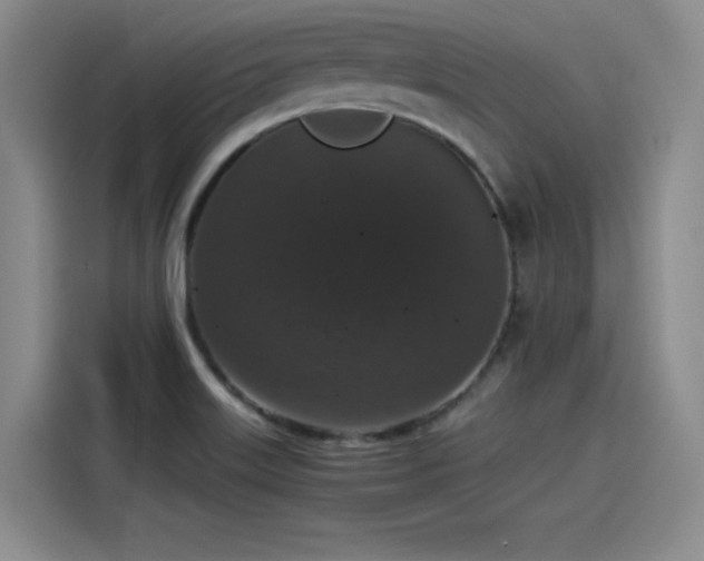 X0000115481515200911131205