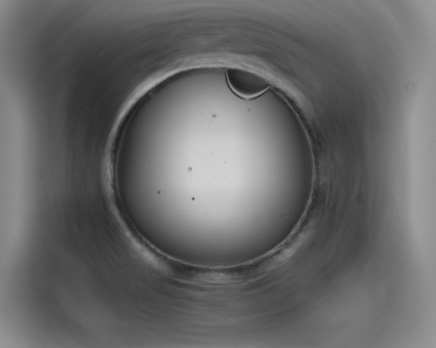 X0000115481517200911131205