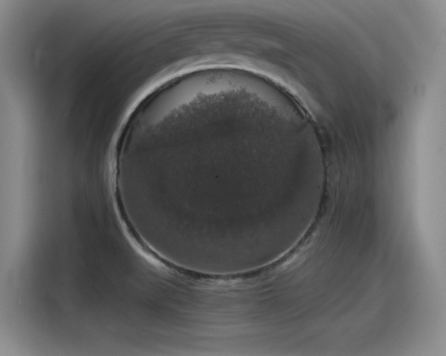 X0000115481519200911131205