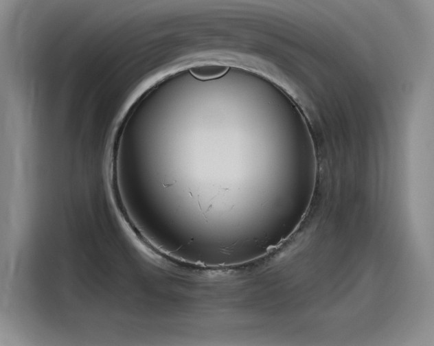 X0000115481523200911131205