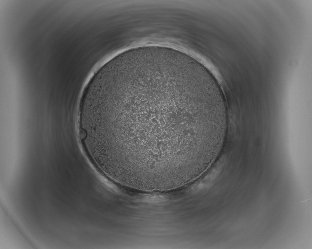 X0000115481525200911131205