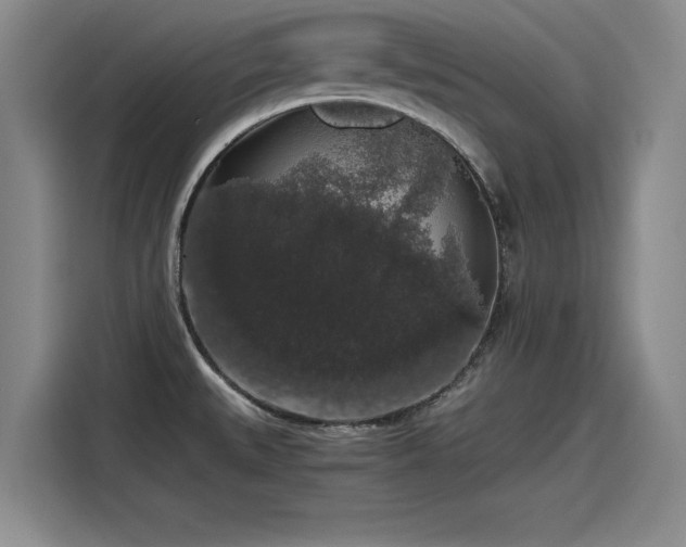 X0000115481527200911131205