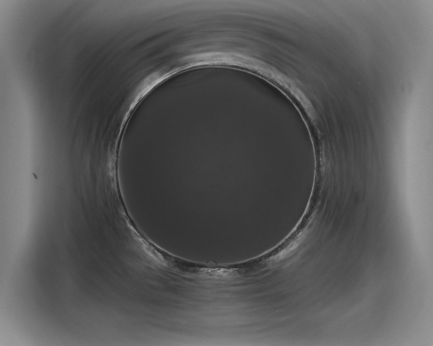 X0000115481529200911131205