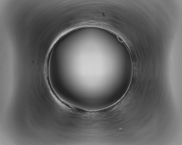 X0000115481531200911131205