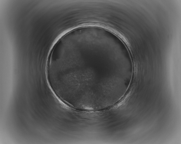 X0000115481533200911131205