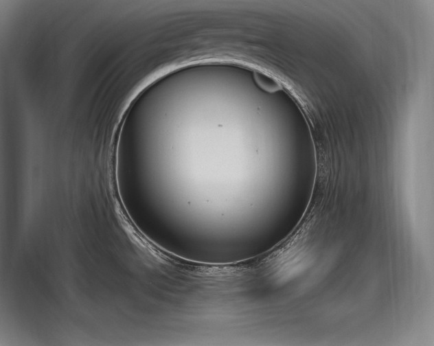 X0000115481534200911131205