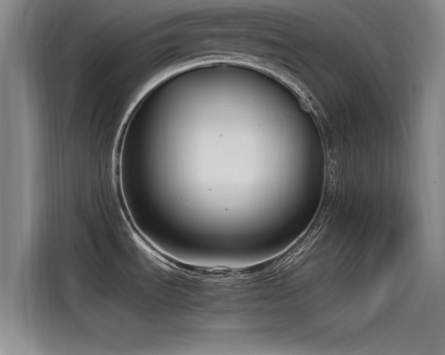 X0000115481535200911131205