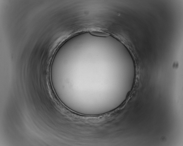 X0000115480001200911201850