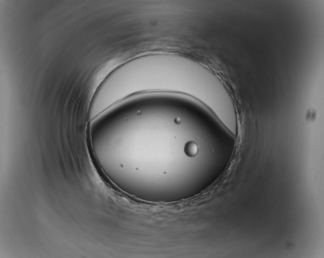 X0000115480003200911201850