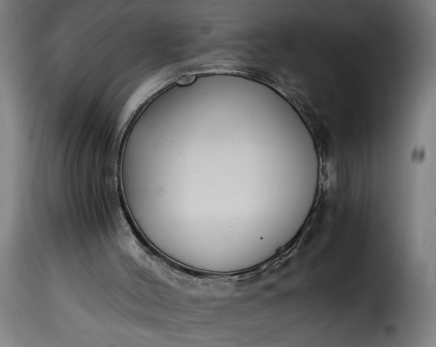 X0000115480004200911201850