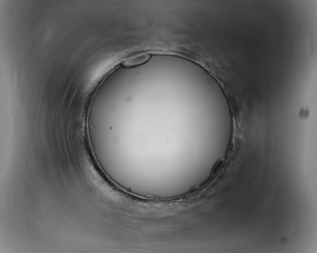 X0000115480005200911201850