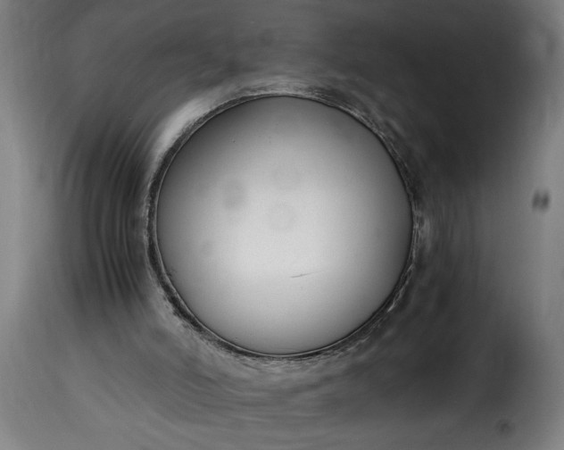 X0000115480006200911201850