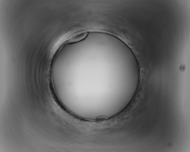 X0000115480007200911201850