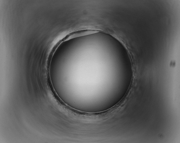 X0000115480008200911201850