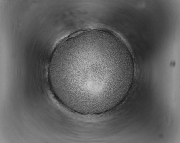 X0000115480010200911201850