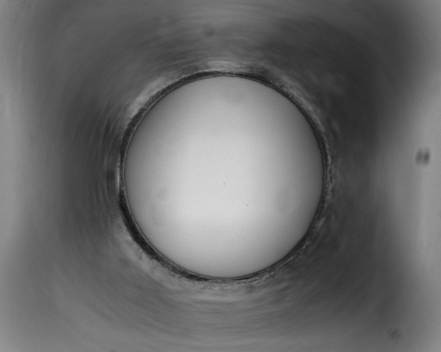 X0000115480011200911201850