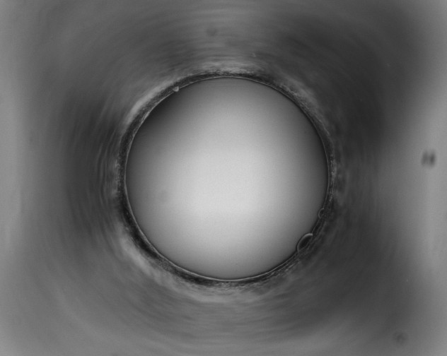 X0000115480012200911201850