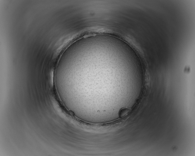 X0000115480014200911201850