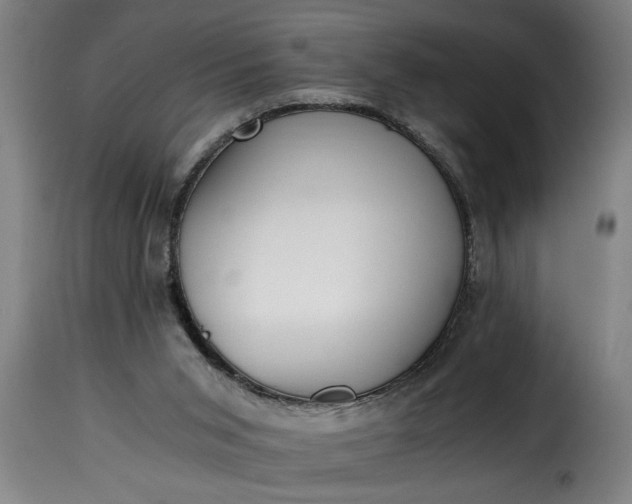 X0000115480015200911201850