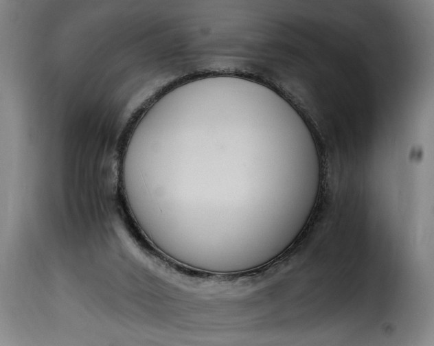 X0000115480016200911201850