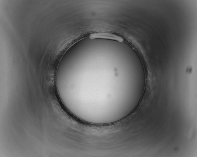 X0000115480017200911201850