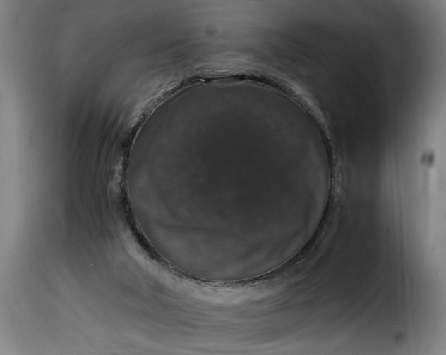 X0000115480018200911201850