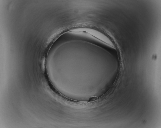 X0000115480019200911201850