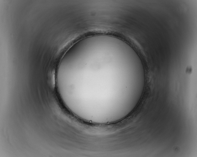 X0000115480020200911201850